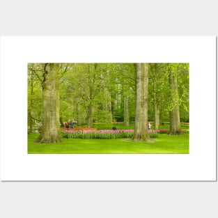 Keukenhof Tulip Festival, Holland Posters and Art